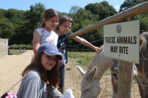 Animal Petting and Feeding at Jimmy's Farm & Wildlife Park