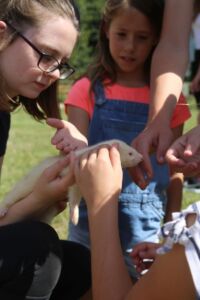 Animal Petting and Feeding at Jimmy's Farm & Wildlife Park
