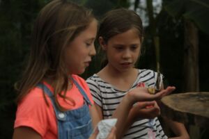Animal Petting and Feeding at Jimmy's Farm & Wildlife Park