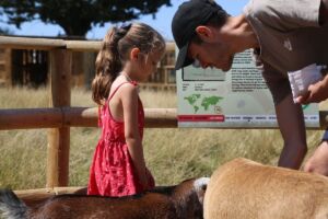 Animal Petting and Feeding at Jimmy's Farm & Wildlife Park