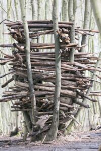 Den building. Wonder Woods at Jimmy's Farm & Wildlife Park