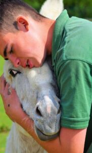 Animal Petting and Feeding at Jimmy's Farm & Wildlife Park