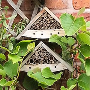 How to Build a Bee Hotel