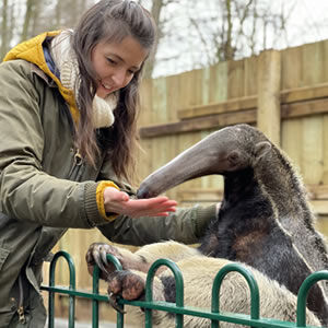 Animal experiences at Jimmy's Farm & Wildlife Park