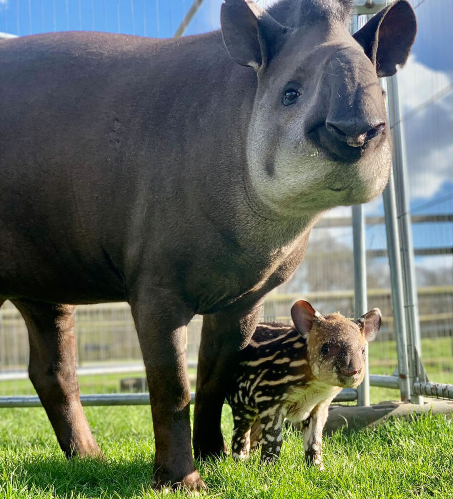 Mum and baby