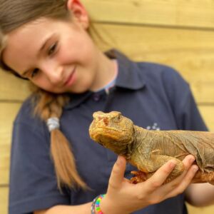 Reptile Madness Experience at Jimmy's Farm & Wildlife Park