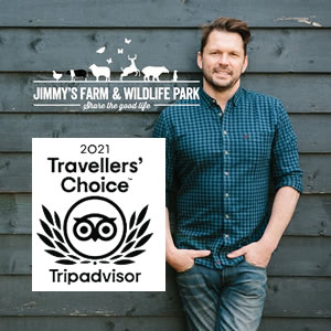 Jimmy's Farm wins Tripadvisor Travellers' Choice Award 2021