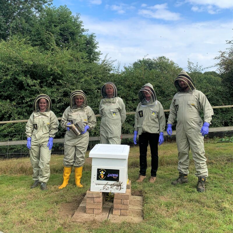 We Welcome a Hive of Bees to Jimmy's Farm & Wildlife Park, Suffolk