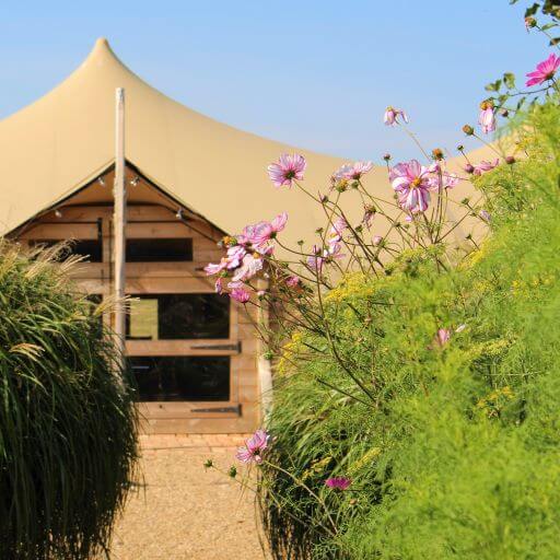 Wedding Venue at Jimmy's Farm, Ipswich Suffolk