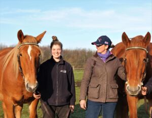 Suffolk Punches with ranger Holly and Bespoke Bridle