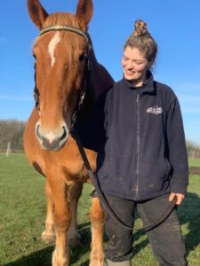 Ranger Holly with Suffolk Punch Annie