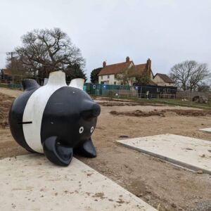 Rosie the pig fallen over at Rosie the pig fallen over