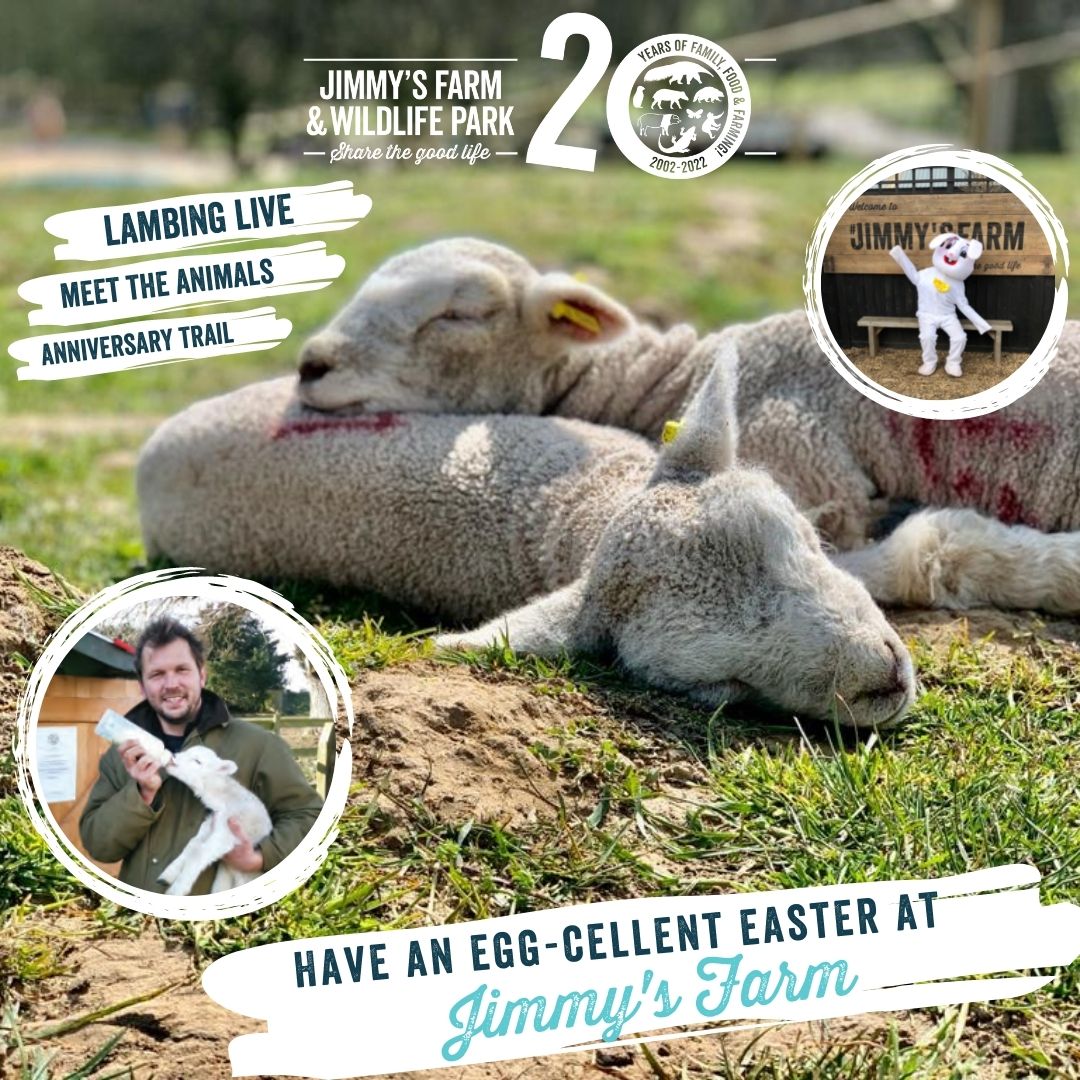 Have an egg-cellent easter at Jimmy's Farm