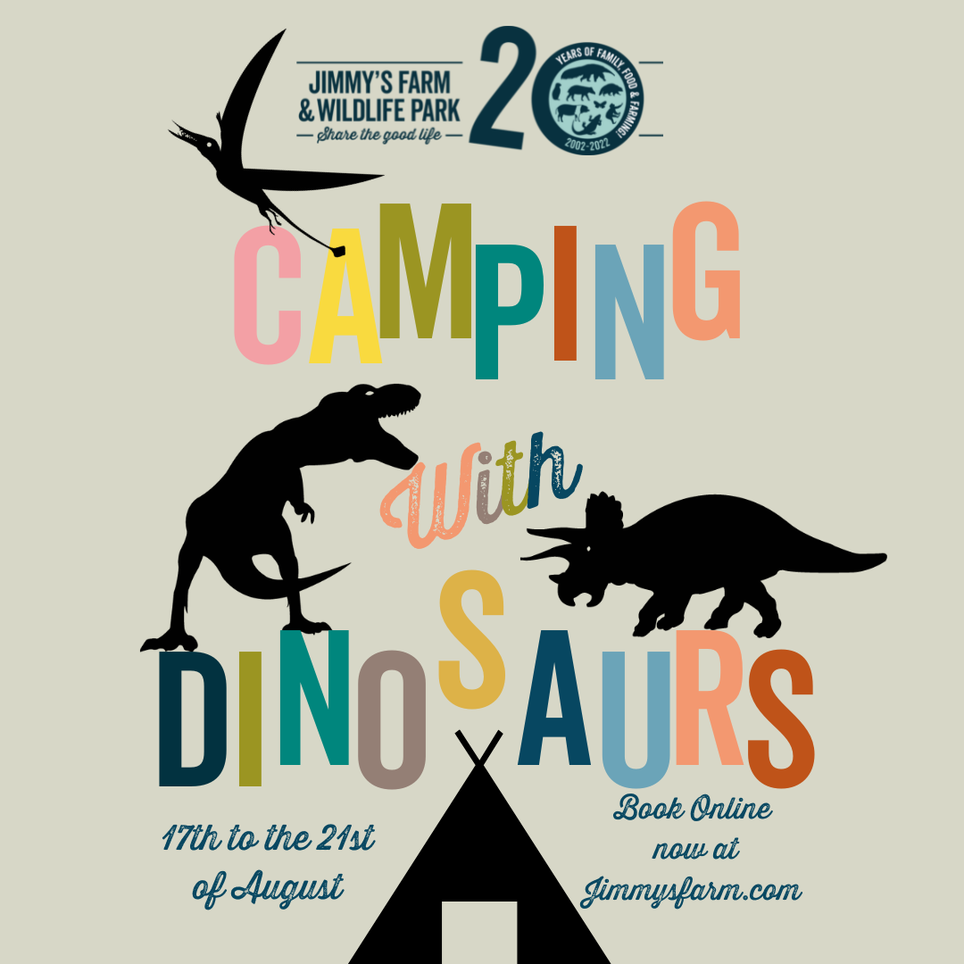 camp with dinosaurs at jimmy's farm