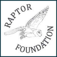 Raptor Foundation