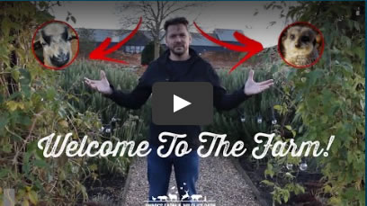 Welcome to farm
