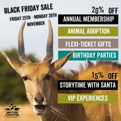 Black Friday sale at Jimmy’s Farm & Wildlife Park Black Friday sale at Jimmy's Farm & Wildlife Park