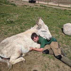Lily the Donkey with a Ranger at Jimmy's Farm