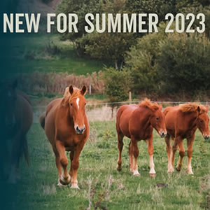 New for summer 2023