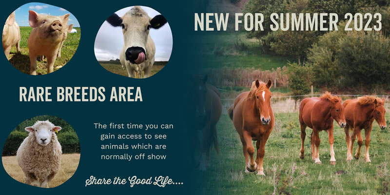 Rare breeds area