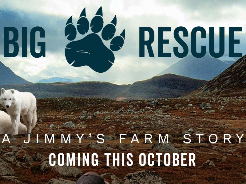 NEW FILM: BIG RESCUE