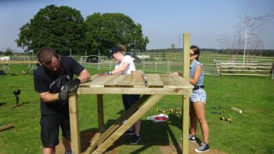 Team building days at Jimmy's Farm &amp; Wildlife Park