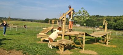 Team building days at Jimmy's Farm &amp; Wildlife Park