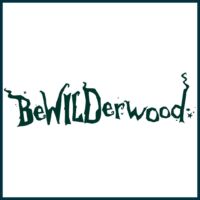 BeWILDerwood BeWILDerwood