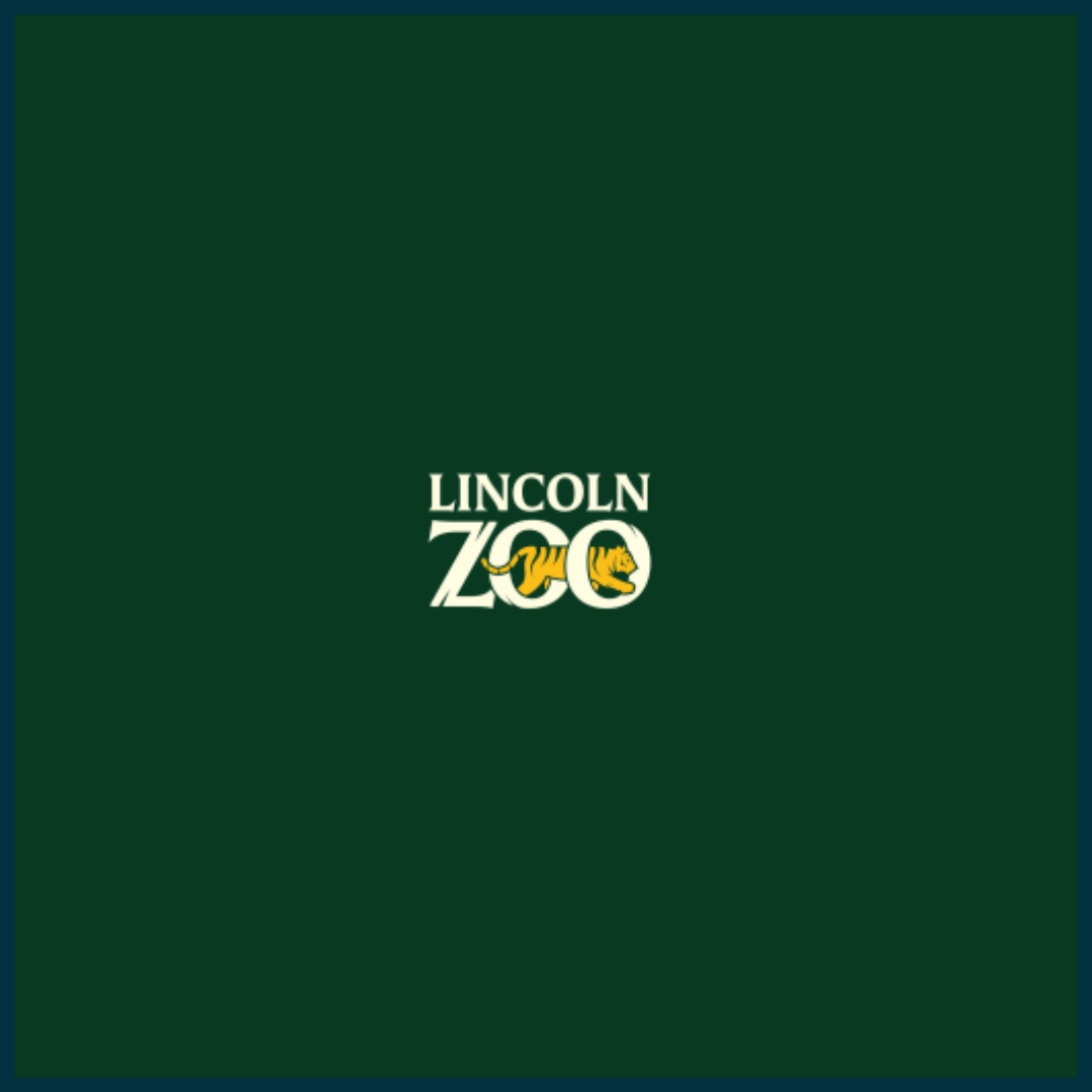 Lincoln Zoo