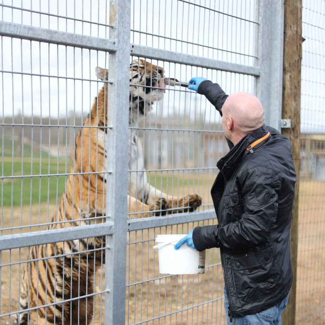 Animal Experiences