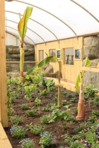 Butterfly House