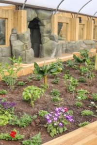 Bedding plants in the Butterfly House