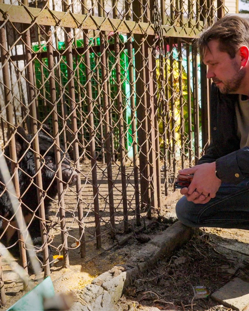 Jimmy Doherty crouching beside a caged moon bear at a former bear bile farm in South Korea Jimmy Doherty crouching beside a caged moon bear at a former bear bile farm in South Korea