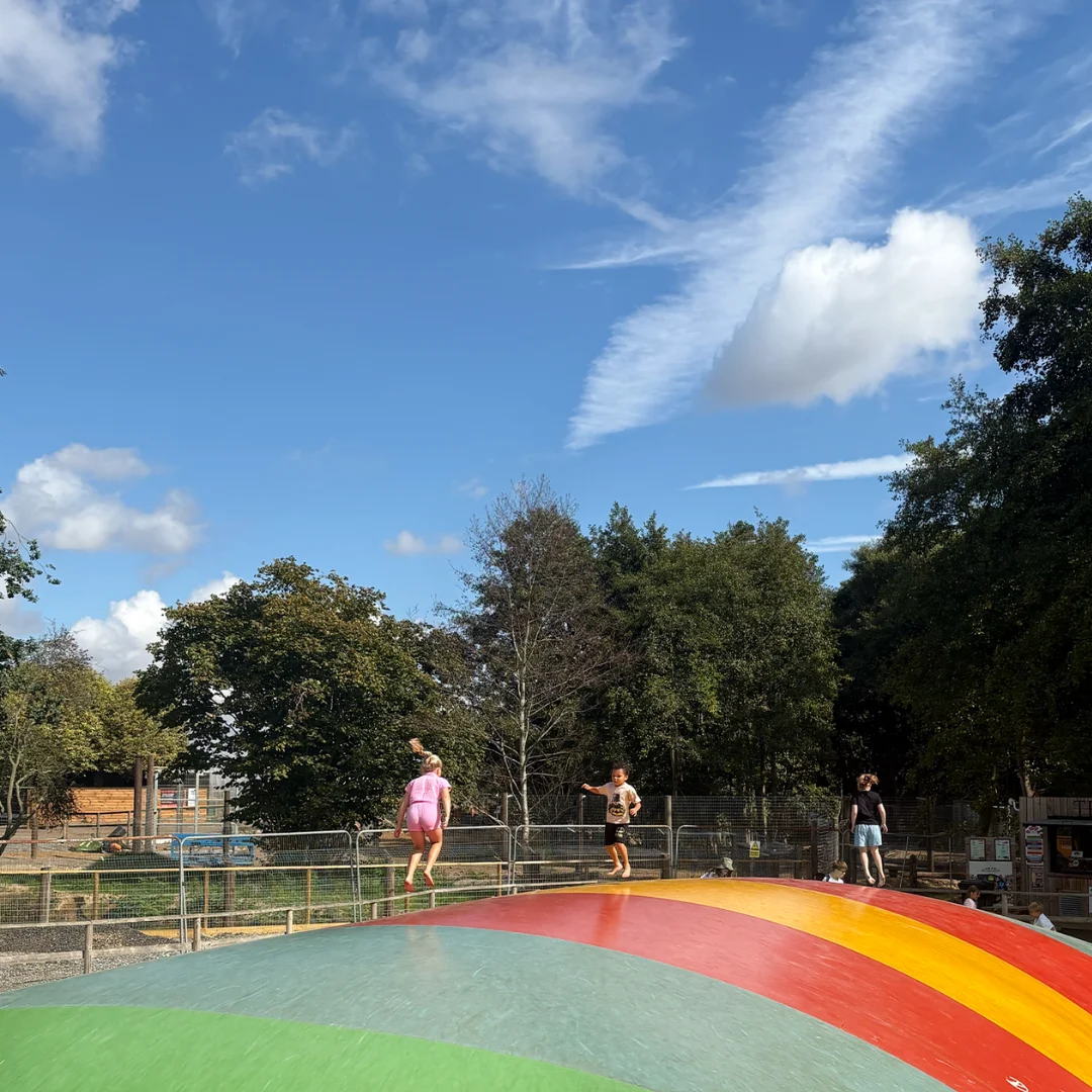 giant bouncy pillow at jimmys farm and wildlife park
