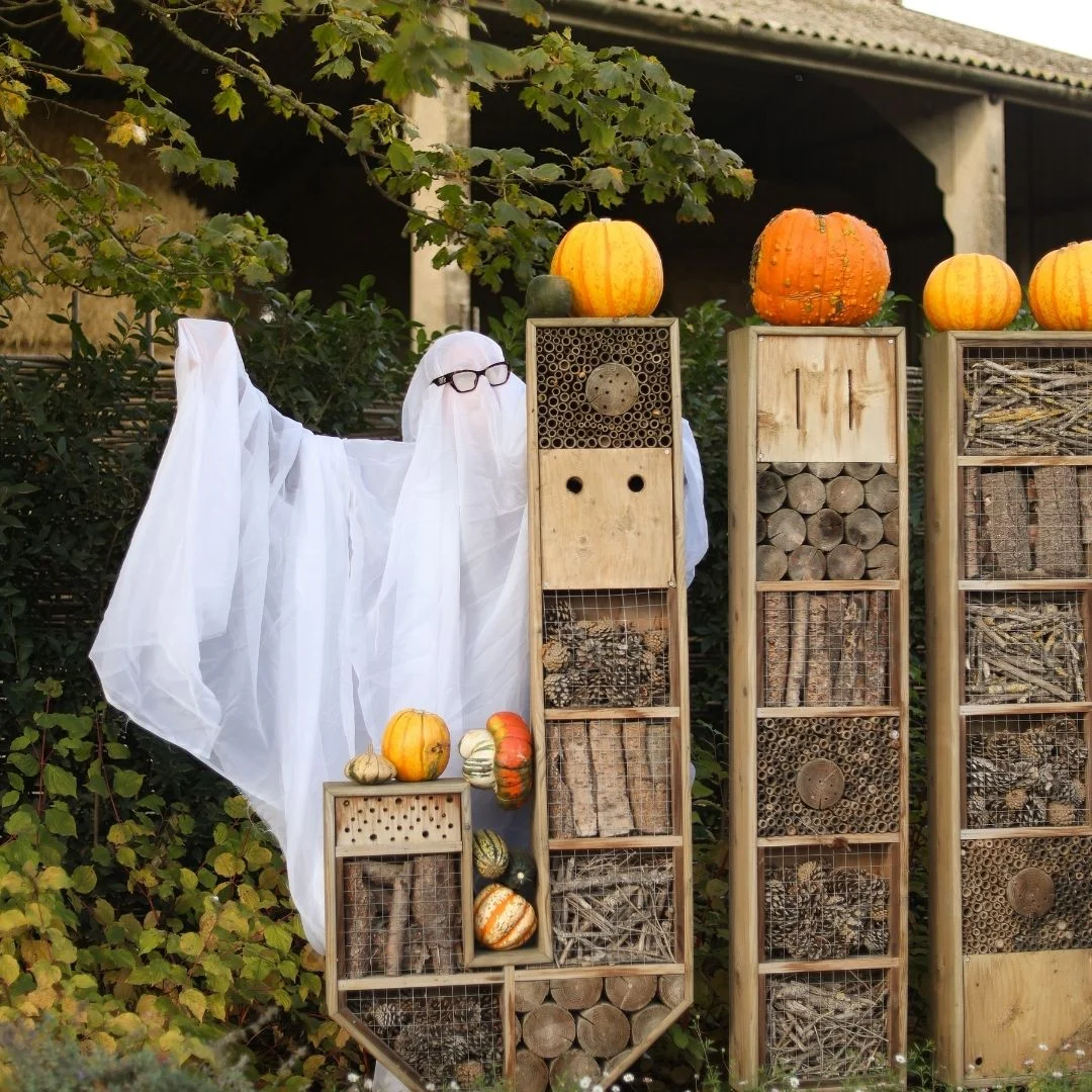 What’s On this October Half term at Jimmy’s?